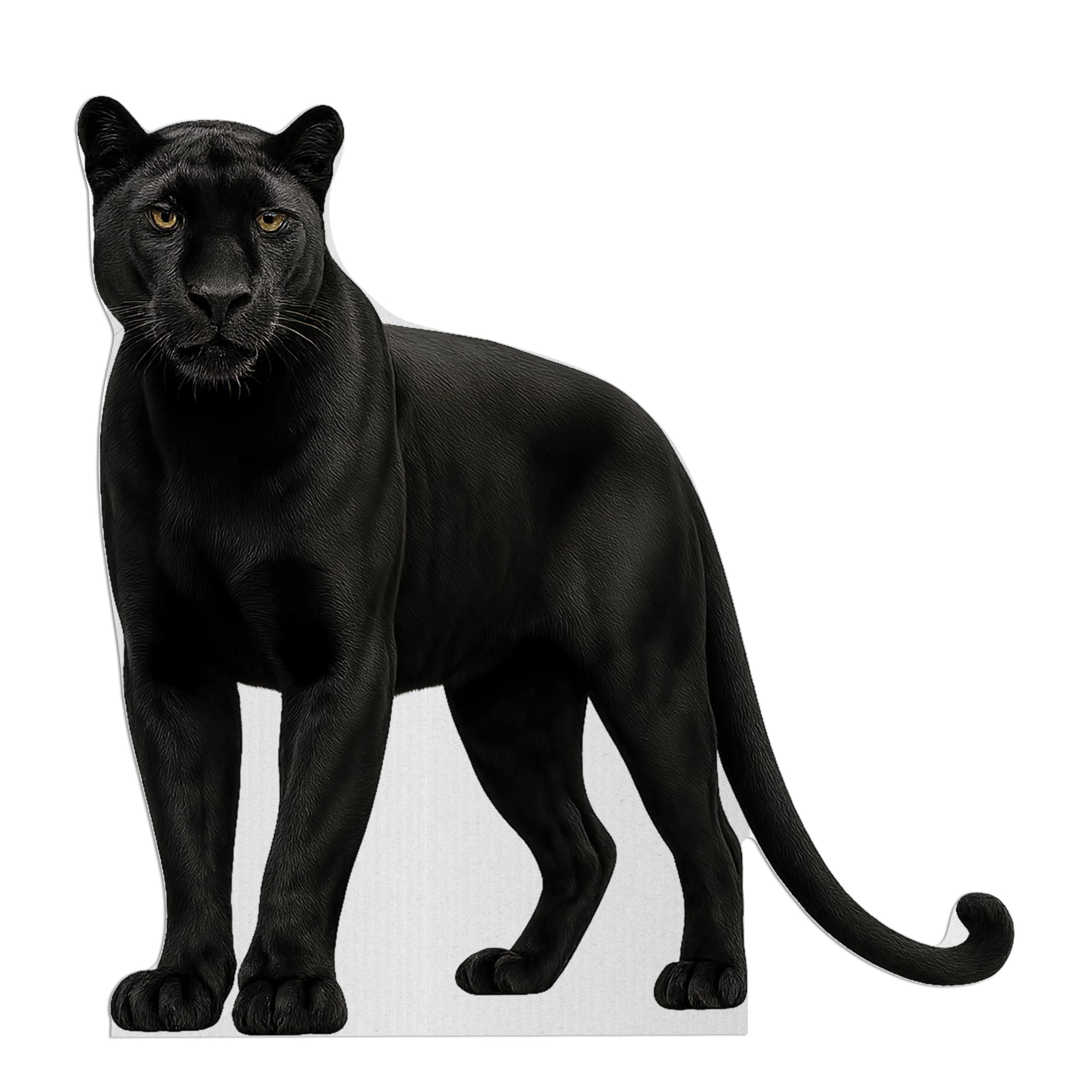 Amazon.com: Black Panther Life Size Standee - 4FT Freestanding